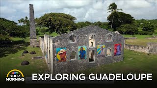Exploring Guadeloupe: A Day on Marie-Galante | Your Morning
