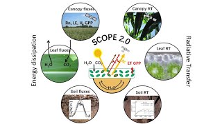 5 SCOPE spectral outputs, reflectance, radiance