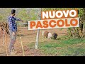 Sposto le PECORE e vi faccio un CAZZIATONE