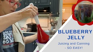 Make your own Blueberry Jelly  Juicing and Canning  SO EASY!