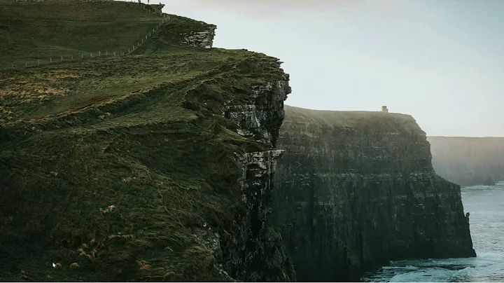 How To Fix NVIDIA Installer Cannot Continue Error