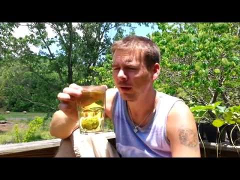 Japanese Honeysuckle - Medicinal Tea, Invasive Permaculture!!!!