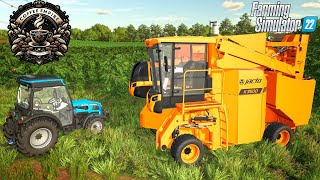First Coffee Harvest | Coffee Empire Year 2 EP2 : Farming Simulator 22