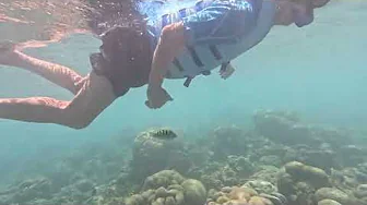 Mr. Leo & Friends, Dusit Thani Maldives 13.10.2024