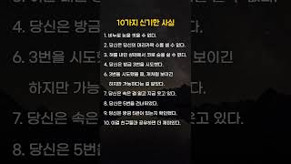 10가지 신기한 사실 #신기한사실 #웃긴문장 #심리트릭 #짧은유머 #한줄zip
