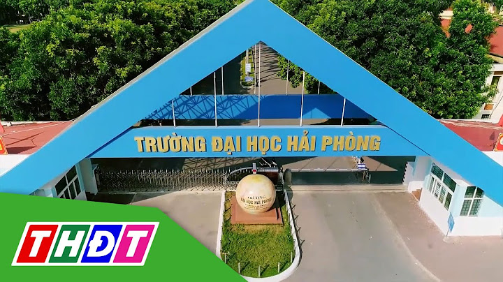 Báo cáo đánh giá ngoài đại học hải phòng năm 2024