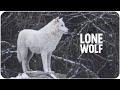 The Power Of Being A Lone Wolf