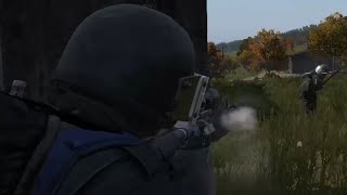 DayZ double kill #dayz