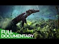 The Wild Soul Of The Everglades National Park Free Documentary Nature