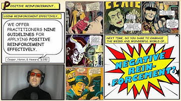 Episode 13: 9 Rules for Using Positive Reinforcement Effectively — The Science of Behavior Change