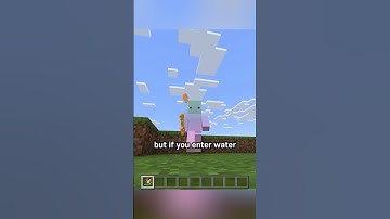 sterretje (educatieve editie)