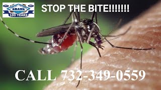 Expert Mosquito Control Services Toms River NJ 732-349-0559 Ozane.com