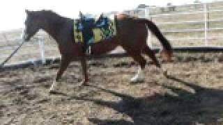 MVI_1041.AVI