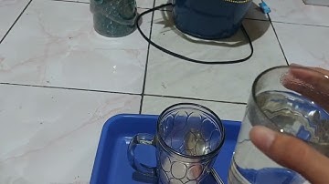 Procedure Text | How To Make Milo Drink ( Ujian Praktek Bahasa Inggris )