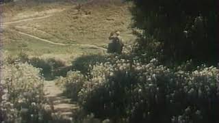 Жизнь прожить - не поле перейти (к-ф "В один прекрасный день", 1955)