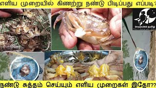 நண்டு பிடிப்பது எப்படி?||நண்டு சுத்தம் செய்தல்||HOW TO CATCH CRABS & CRAB CLEANING||Dream360 tamil