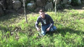 ポール・スミザー　PLANTING BULBS　球根の植え方
