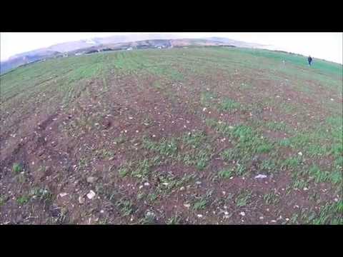 ვცდილობთ 2