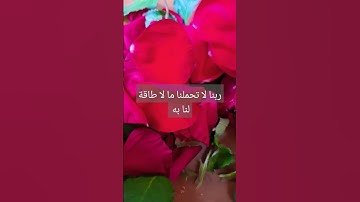 #سورة_البقرة #surahalbaqarah #قران_كريم #البقرة #قرآن #tilawat #اكسبلور #تيك_توك