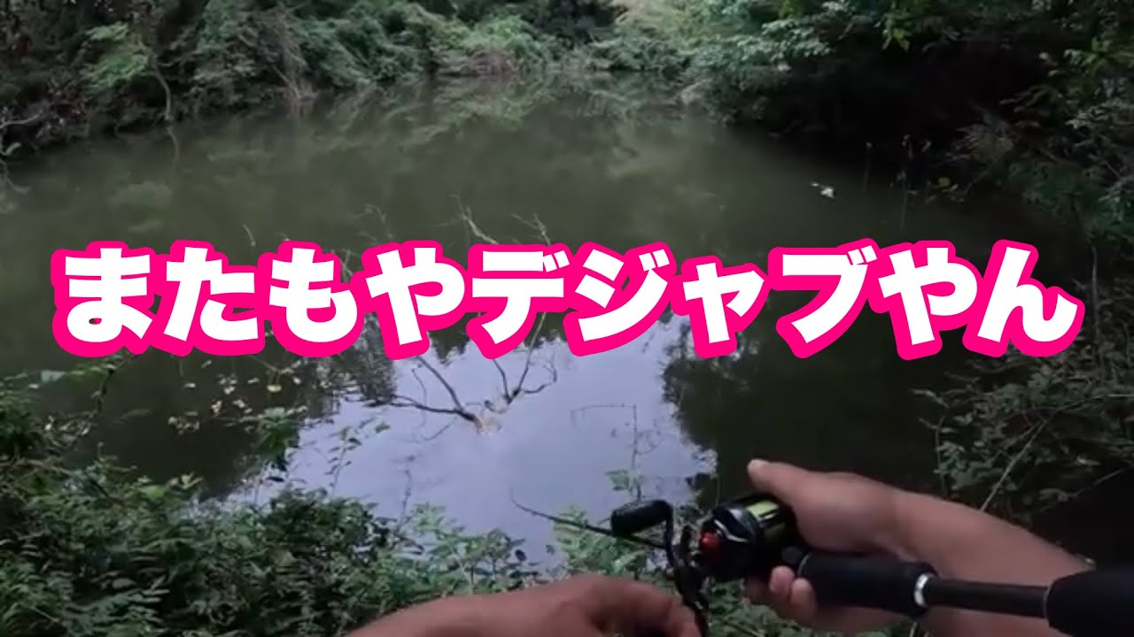 [野池]またもやデジャブ釣行[グリフォンゼロ]