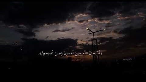 سبحان الله وبحمده .. تلاوة للقارئ عبدالرحمن مسعد #عبدالرحمن_مسعد