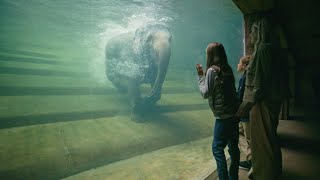 Auf Expedition in Asien im Zoo Leipzig