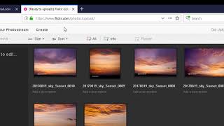 How to Use Flickr