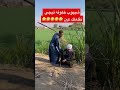 تيجي نقلعلك عين وتقلعلي عين طرائف Dahik ضحك مقالب Shorts الضاني اسطورة كوميديا تيجي نقلعلك عين وتقلعلي عين طرائف Dahik ضحك مقالب Shorts الضاني اسطورة كوميديا