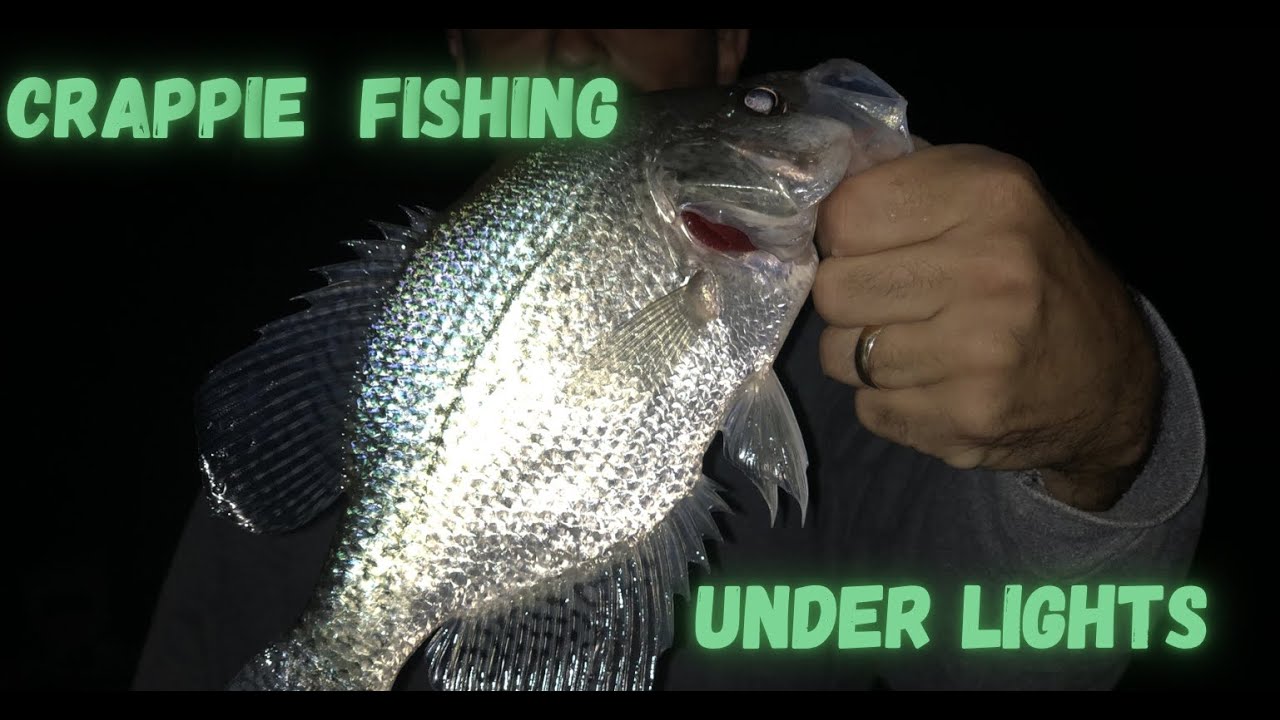 Night Fishing For Crappie - Under Lights on Norris Lake - Catch