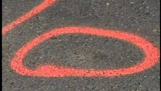 Hit-And-Run Accident Reported in Palmhurst