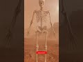 What Happens If You Land on Mars Without a Spacesuit? 💀