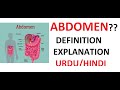 What is Abdomen? | Examples | Importance | Uses | Urdu/Hindi