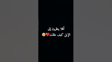 أفلا ينظرون إلى الإبل كيف خلقت #صدقة #سورة_الغاشيه #القرآن_الكريم #khaled_abdul_jaleel #خالد_الجليل