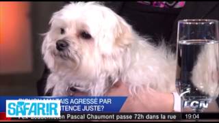 Denis Lévesque et le bichon maltais violé