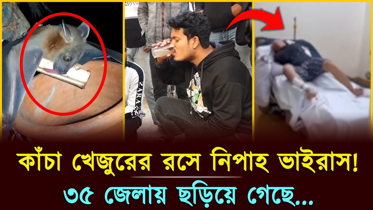 কাঁচা খেজুরের রসে নিপাহ ভাইরাস! ৩৫ জেলায় ছড়িয়ে গেছে | Nipah Virus