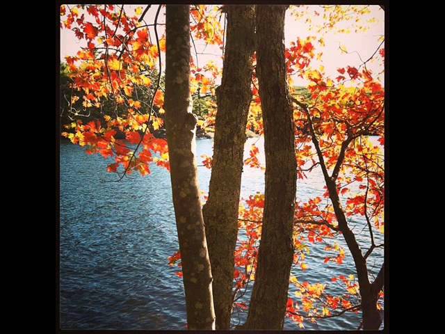 Watch "Willow" by Connor Garvey from the album "Meteors And Beating Hearts" on YouTube Watch "Willow" by Connor Garvey from the album "Meteors And Beating Hearts" on YouTube