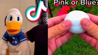 Donald Ducc tiktok compilation | Best Donald Ducc tiktok | Donald Duck tiktok | @DonaldDucc