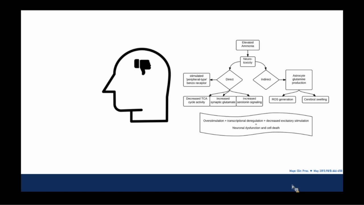 Hepatic Encephalopathy 2019 Flipping the Script YouTube