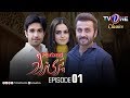 Parizad | Episode 1 Sumbul Iqbal - Faisal Rehman | TV One Classics Drama