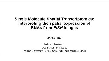 dkNET Webinar "Single Molecule Spatial Transcriptomics: Interpreting the Spatial Expr. ..." 04212023