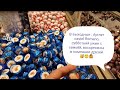 OUTLET CASTEL ROMANO, ГОТОВЛЮ СУББОТНИЙ УЖИН ИЗ МОРЕПРОДУКТОВ, ВОСКРЕСЕНЬЕ С ДРУЗЬЯМИ.