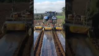 Planting maze