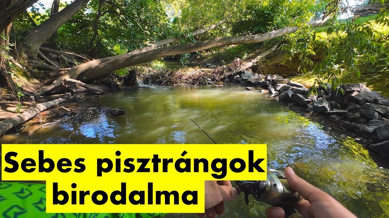 Pisztrángfogás körforgó villantóval - Patakpeca vadregényes környezetben