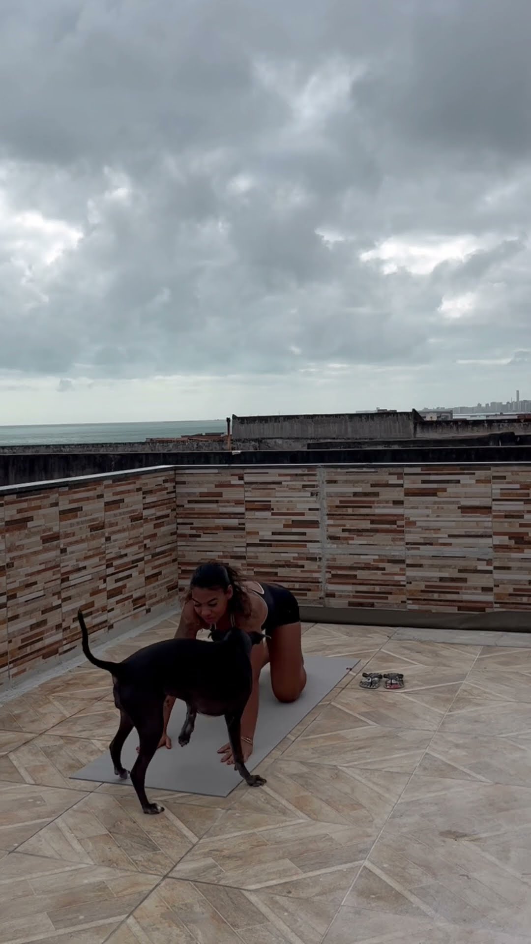 My Dog Doing Yoga with Me || ViralHog