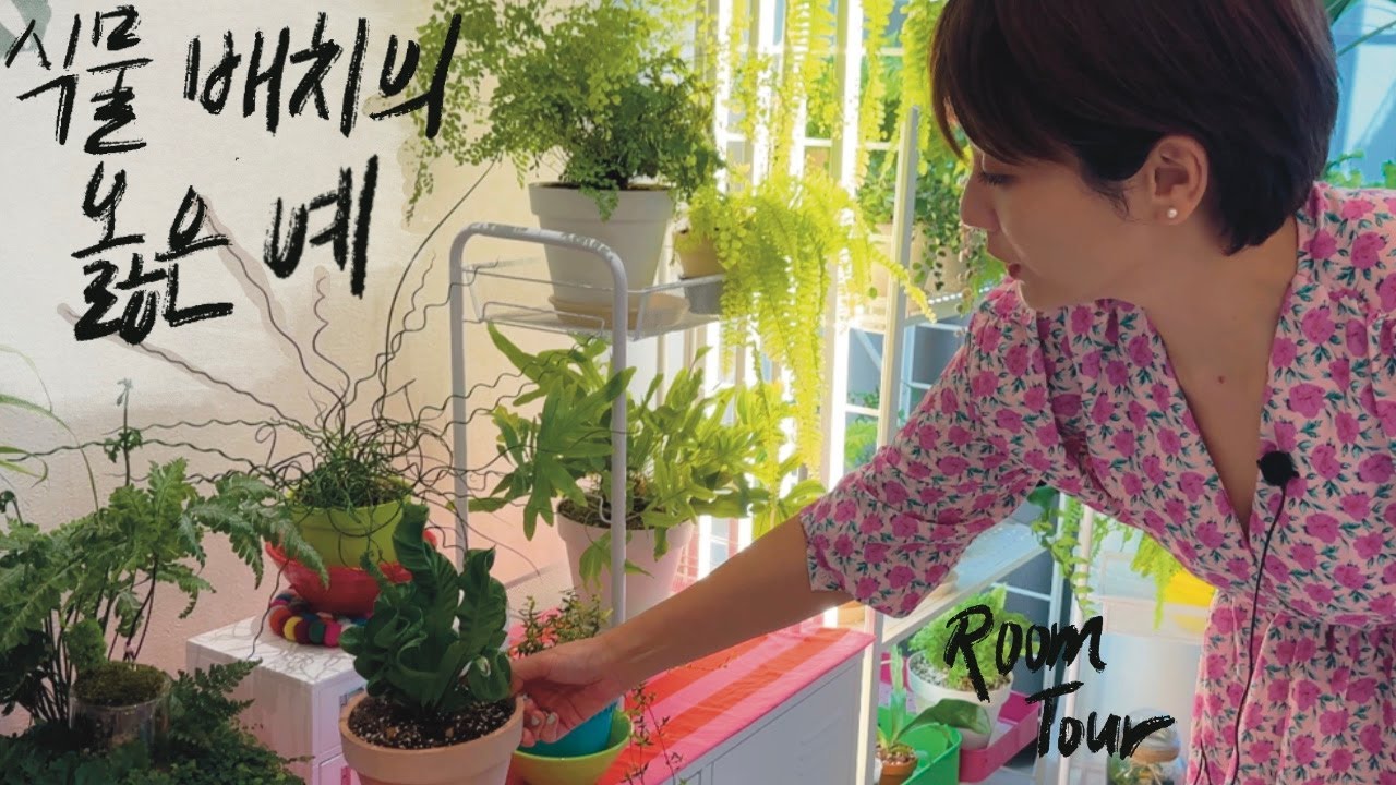 [RoomTour] 식물 심으려고 일부러 큰 커피 마셔요 / 식물 배치에도 다 이유가 있다! - 알록달록 파주 하우스 3편