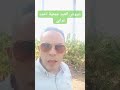 اراضي للبيع جمعية أحمد عرابي العبور