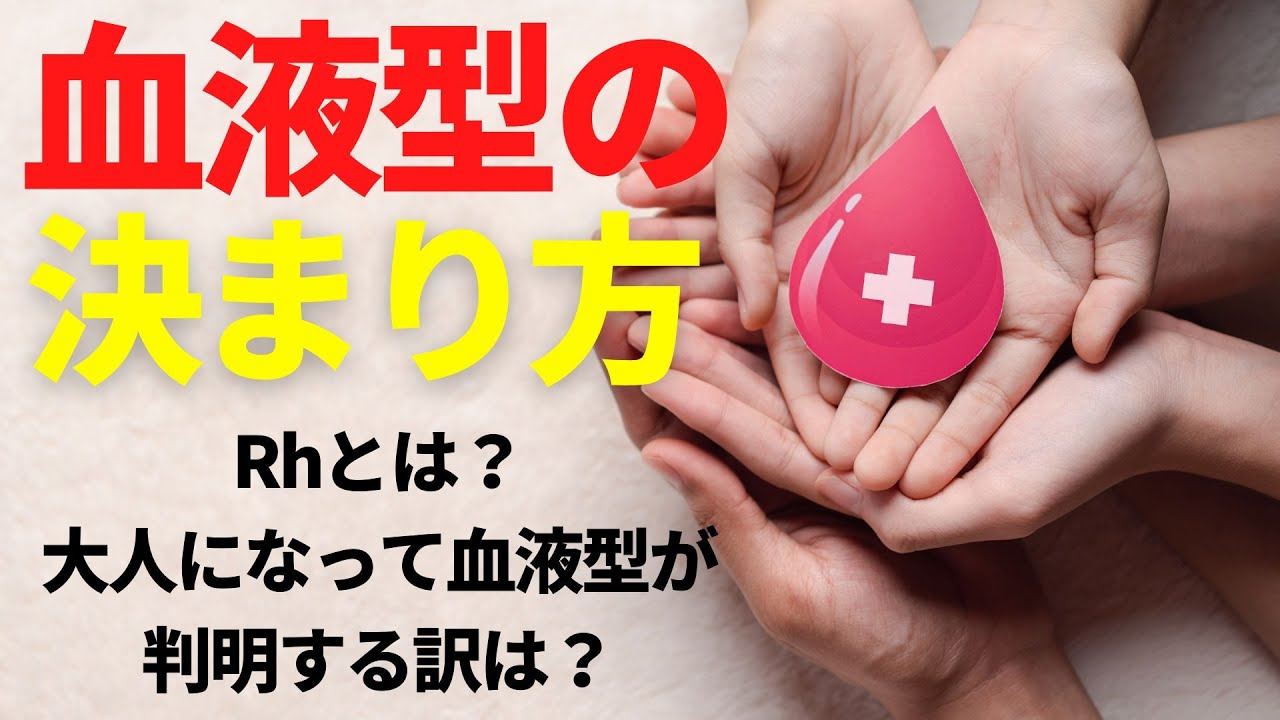 Rh 血液型調べ 方: Rh 血液型 種類 – 血液型 血液型検査 – FIEYNX