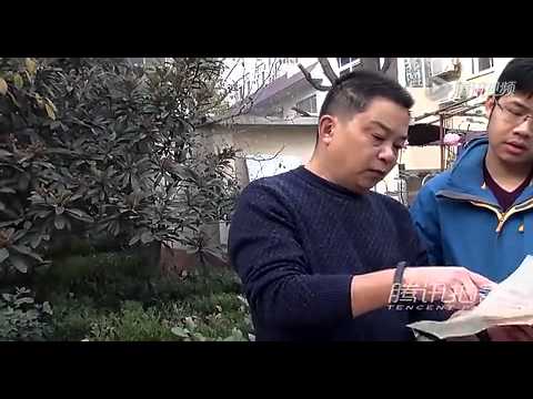 彭丽媛20岁所写信件曝光 笔迹秀逸有力