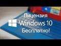 Получи лицензию Windows 10 без трат!