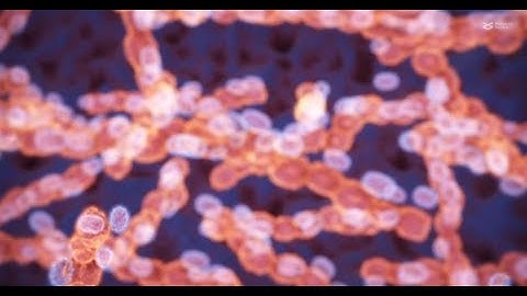 Lantibiotic molecule discovered among archaea